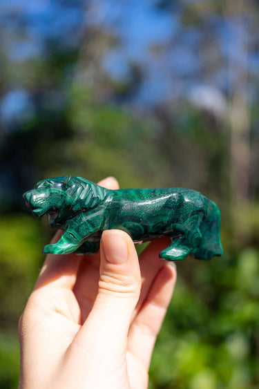 Malachite Lion